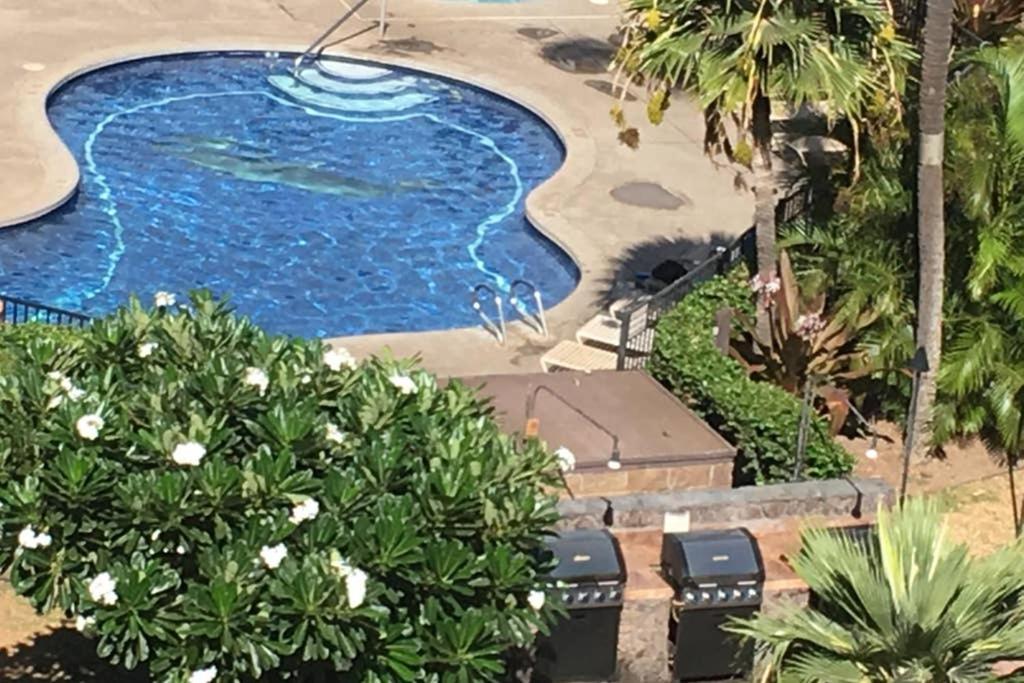 Appartamento Oceanfront Penthouse With Amazing Views At Kauhale Makai Kihei Esterno foto