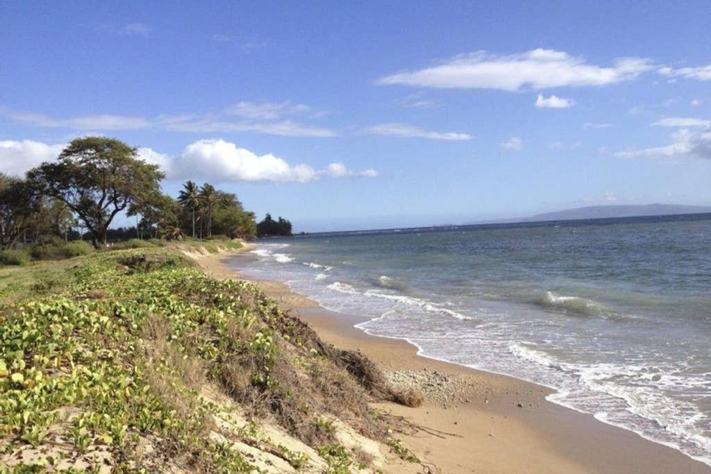 Appartamento Oceanfront Penthouse With Amazing Views At Kauhale Makai Kihei Esterno foto
