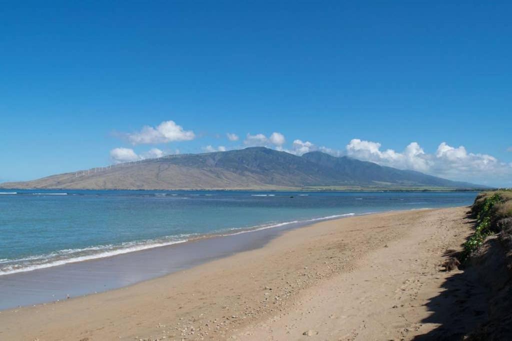 Appartamento Oceanfront Penthouse With Amazing Views At Kauhale Makai Kihei Esterno foto